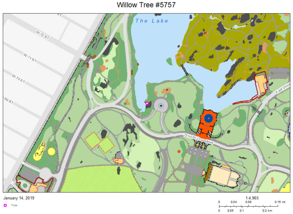 Weeping Willow 72nd Crossdrive Map